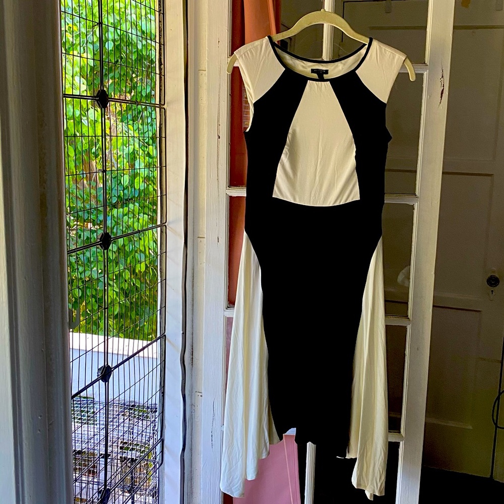 ANN TAYLOR black and cream colorblock dress